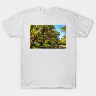 Cumberland Island National Seashore T-Shirt